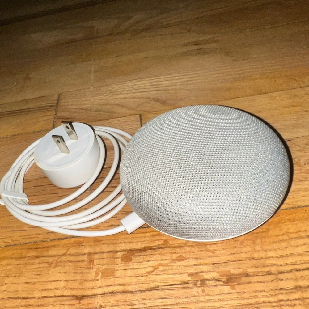 Google home mini